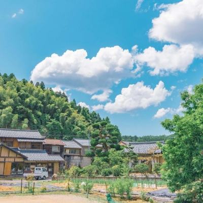 42982金牛网论坛下载手机版