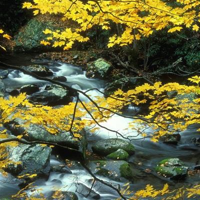 金沙集团186CCapp下载